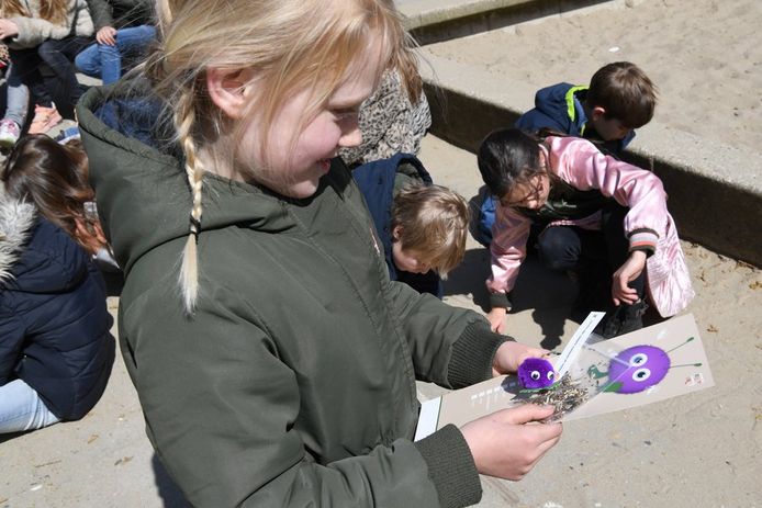 Op de St Antoniusschool in Klein-Zundert bestudeert één van de kinderen het pakketje 'Tegel eruit, plantje erin' dat de gemeente en het Vogelrevalidatiecentrum verspreidden onder de groepen vijf en zes