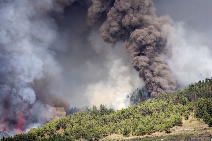 Agenzia per la protezione ambientale