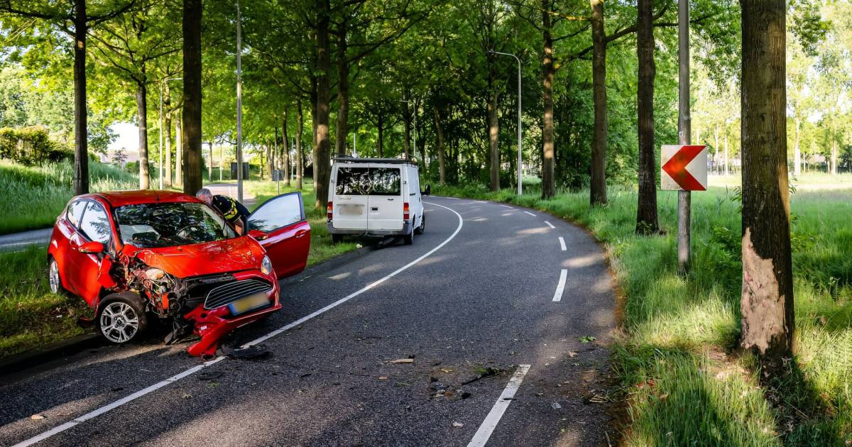 Automobilist gewond bij botsing tegen boom in Tilburg.