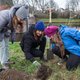 Met de handen in de aarde van de Moestuinschool in Noord: ‘Ik kom zo blij thuis van een lesdag’