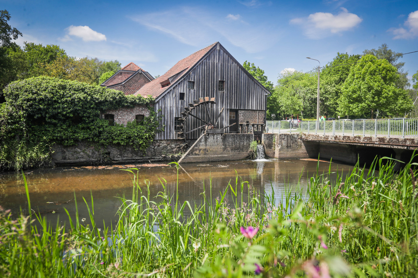 Natuurpunt en Demir stellen renovatieplannen De Slagmolen voor “Al 500