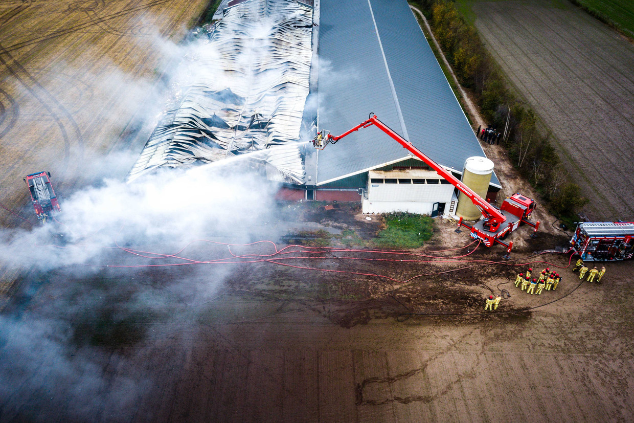 Een luchtfoto van een stal aan de Pannehoeven waar bij een brand in 2018 ongeveer 4000 varkens om het leven zijn gekomen. Beeld ANP