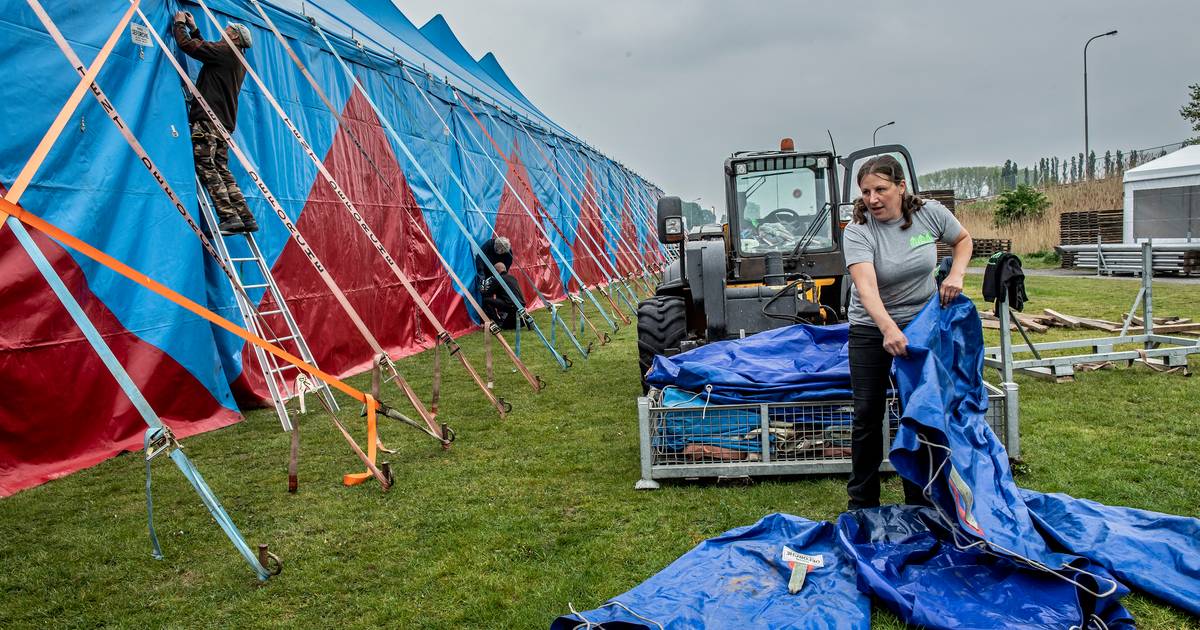 Labadoux in laatste rechte lijn voor start festival Ingelmunster hln.be