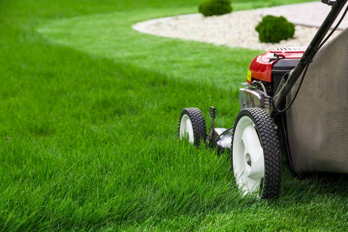 Een elektrische grasmaaier, een met benzine, of een robot: welke is de beste grasmaaier voor jouw gazon?