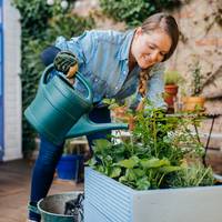 Zo krijgen je planten genoeg water als je op vakantie bent
