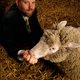 Ian Wilmut, de vader van het gekloonde schaap Dolly: ‘Ik heb begrip voor ouders die een kind verloren hebben en dat dode kind willen laten klonen’