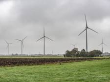 Extra windmolens in Zwolle? Tolhuislanden wil deze zomer energieplan klaar hebben