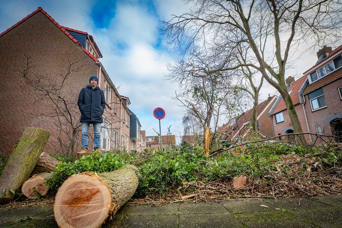 Homan Zand en zijn buren waarschuwden de gemeente al jaren voor de hoge bomen in de straat. Nu viel er eentje op zijn huis.