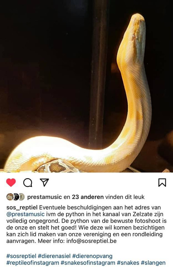 Ook de SOS Reptiel reageerde al op de beschuldigingen aan het adres van de rapper.