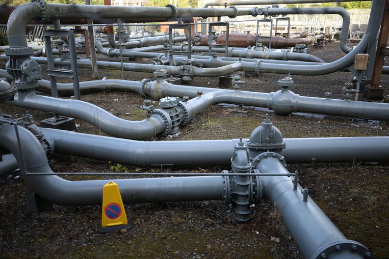‘Binnen twee decennia kunnen we voorgoed van het gas af voor elektriciteitsproductie.' Beeld REUTERS