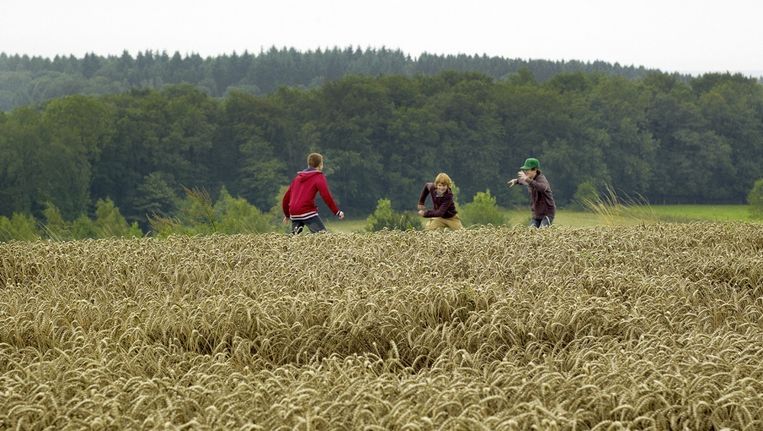 Beeld uit Les Géants. Beeld .