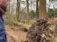 Gemeente waarschuwt niet naar Kralingse Bos te komen: ‘Levensgevaarlijk’ 
