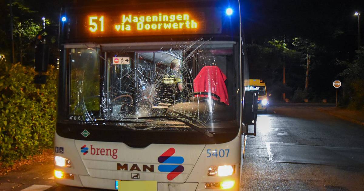 Cyclist crashes with regular bus in Oosterbeek and is injured, major damage |  Renkum