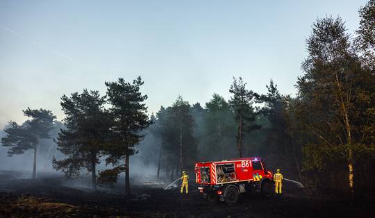 ‘Ook in België moeten we vuurwijs worden’: het risico op natuurbranden wordt steeds groter