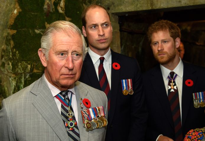 Charles, William en Harry.