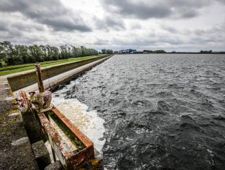 Grondwaterpeil opnieuw gestegen in Vlaanderen door overvloedige neerslag