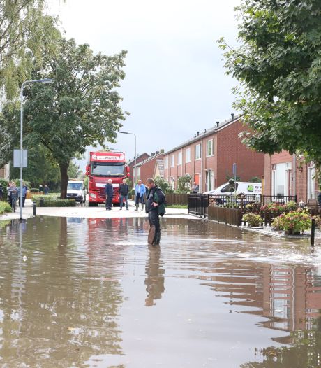 Deutsche amateure gratis