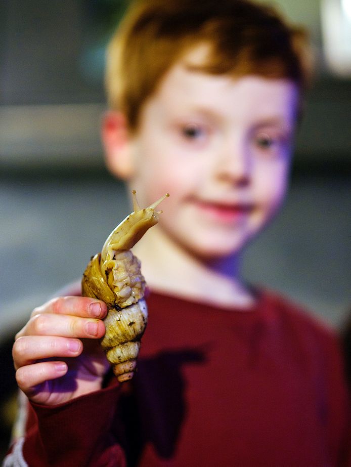 Agaatslak en jarige Max. Max is 6 geworden en geeft een feestje bij Brokken en zo, dierenwinkel. In zijn hand een agaatslak.