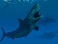Indrukwekkende prehistorische haaiensoort wellicht uitgestorven door rivaliserende ‘kleine broer’