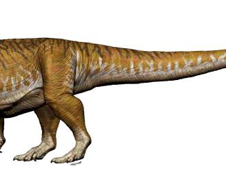 Fossiel van "eerste reuzendinosaurus" ontdekt in Argentinië