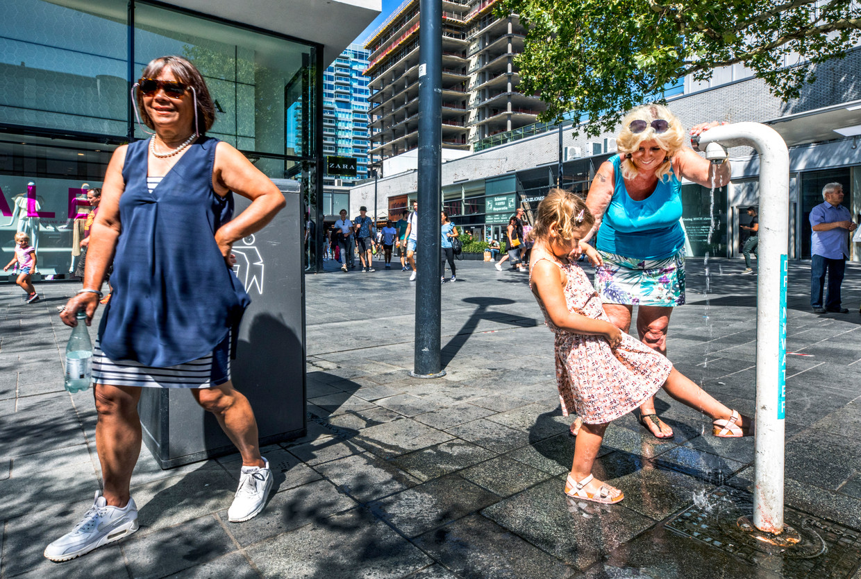 Kinderschoenen rotterdam online centrum