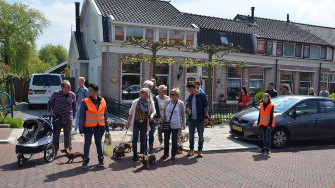 Teckeldag 2023: waarom je daar naartoe moet gaan (ook als je geen teckel hebt)