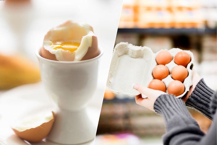 Wat schuilt er achter de verschillende types eieren die je in de supermarkt koopt? “Vrije uitloop koop ik nooit.”