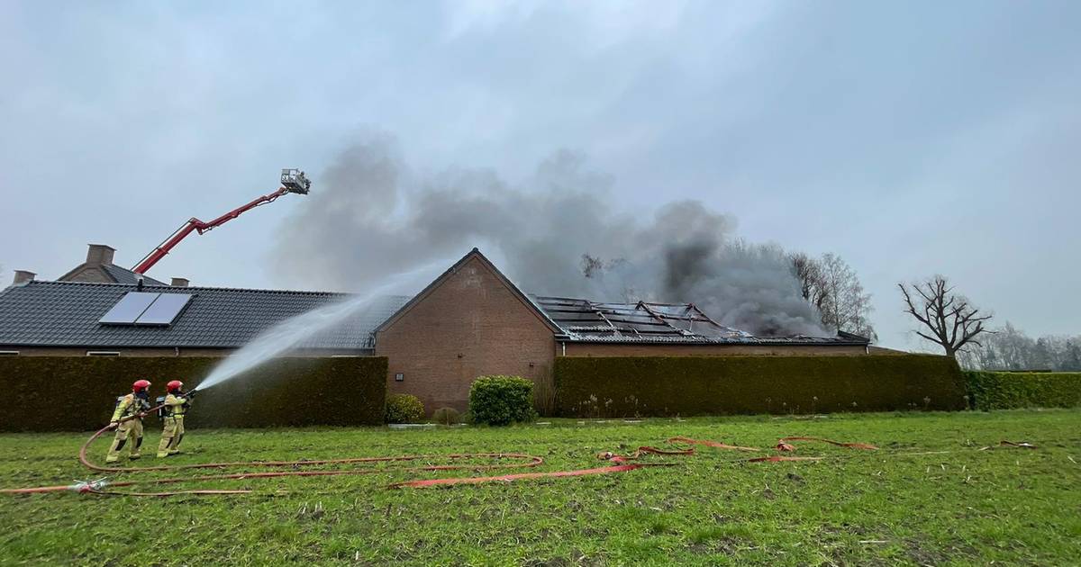 Delen van zonnepanelen verspreid in omgeving na grote brand in Netersel: ‘Haal dieren weg uit weilan