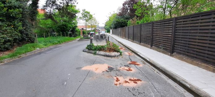 De schade aan de wegversmalling in de Wallemolenstraat is aanzienlijk