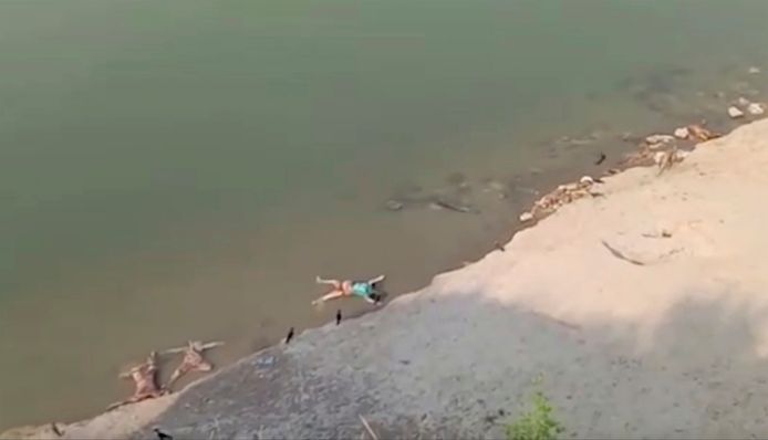 Des corps échoués dans le Gange à Ghazipur, en Inde.