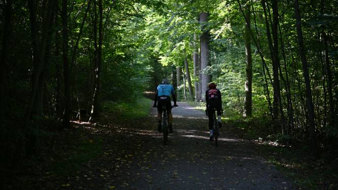 Leuven gaat samen met buurgemeenten bossen verbinden dankzij project WALDEN en dat is ook goed nieuws voor mountainbikers...