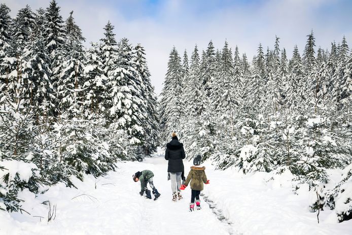 In de Ardennen kan de sneeuw ophopen tot een laag van 10 tot 15 centimeter en lokaal zelfs 20 centimeter dik.
