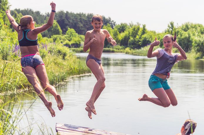 Hoeksche Waard Nieuws