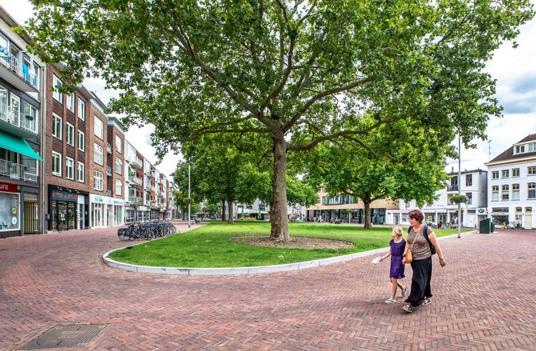Op het Gele Rijdersplein in Arnhem is de betegeling weggebroken en vervangen door gras en platanen. Beeld Raymond Rutting / de Volkskrant