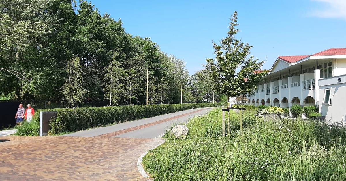 Tien jaar geleden is metamorfose van Renesse ingezet: sindsdien is niets in het vakantiedorp meer he