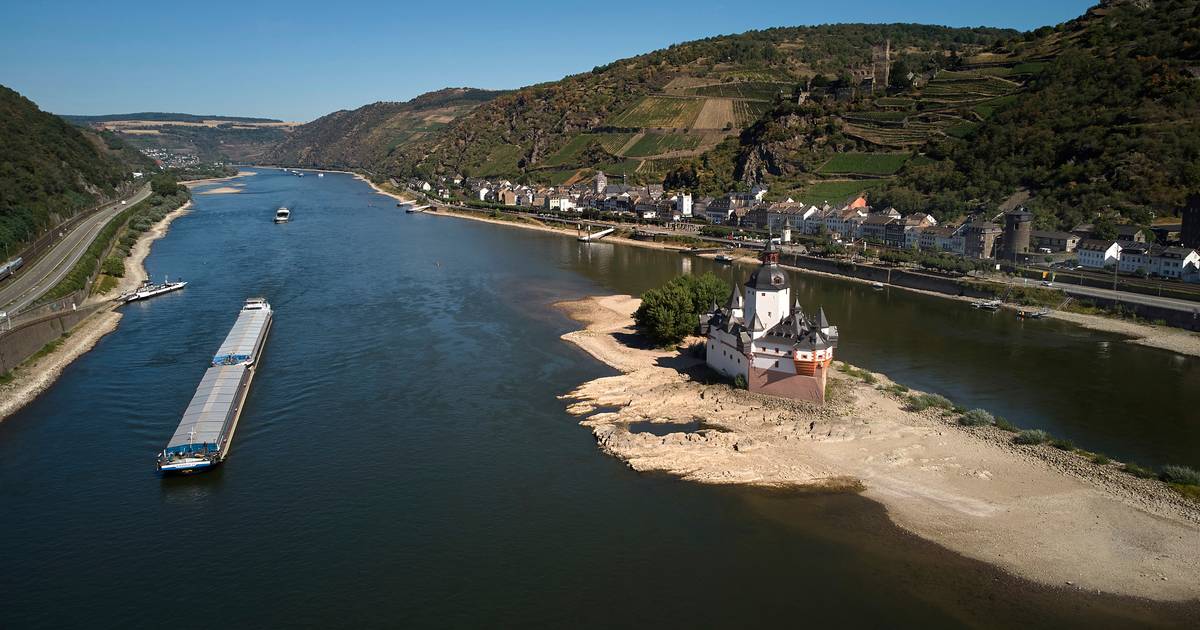 Уровень воды на Рейне упал до критической отметки: немецкая компания Contargo останавливает транспорт на большей части реки |  За рубежом