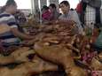 China viert start  zomer met slachten van 10.000 honden