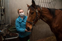 Wendy met haar paard Goldy in de revalidatiekliniek van de faculteit dierengeneeskunde van UGent in Merelbeke.