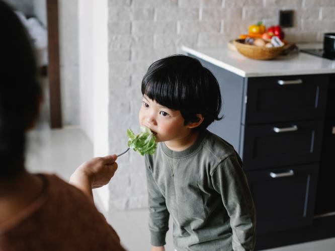 9 op de 10 Belgische ouders worstelen met kroost die moeilijk eet: “We verwachten te veel van een kind aan de eettafel”, zegt gezinspsychologe