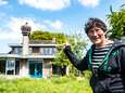 Dorpje Westbroek overspoeld met ooievaars tijdens babyboom: steeds meer inwoners hebben nest in de tuin