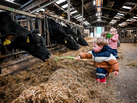 Elize wilde méér doen dan alleen koeien melken, dus begon ze een kinderopvang op de boerderij