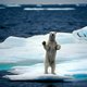 IJsvrije Noordpool tijdens zomers mogelijk al onvermijdelijk, zelfs als klimaatbeloften worden nagekomen