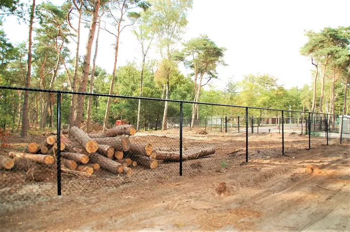 Gemeente Oirschot wil herstel landschap op perceel De Rooy