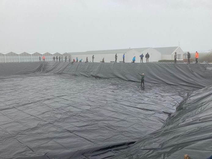 Zo'n veertig mannen uit Hedikhuizen helpen bij het aanbrengen van een enorm ‘zeil’ in het waterbassin van tomatenkwekerij Pijpers in Hedikhuizen. In het bassin komen mogelijk zonnepanelen te liggen, die Hedikhuizen Duurzaam dan gaat gebruiken.