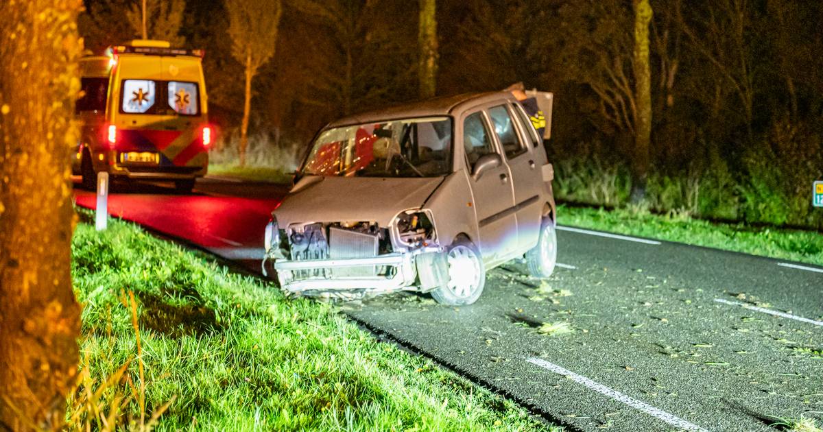 Auto zwaar beschadigd na botsing met boom op Waardweg in Grijpskerk