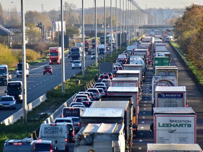 Halfuur file op E17 richting Frankrijk na ongeval in Waregem: weg vrijgemaakt