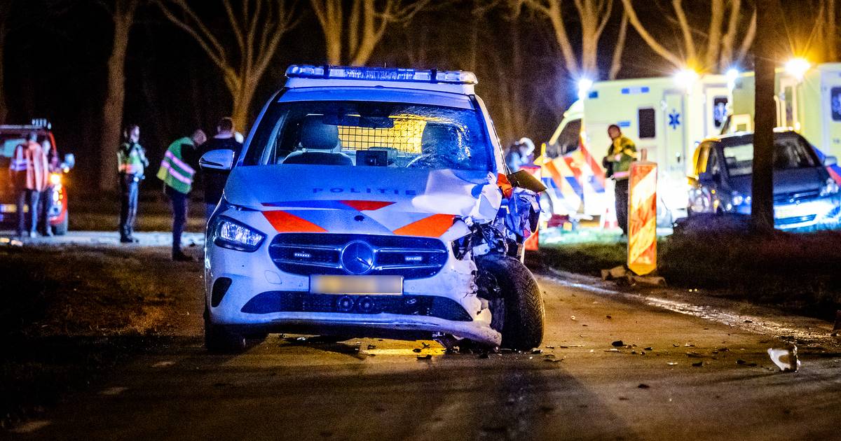Agent vervolgd voor aanrijding Maasdam die vrouw (29) fataal werd