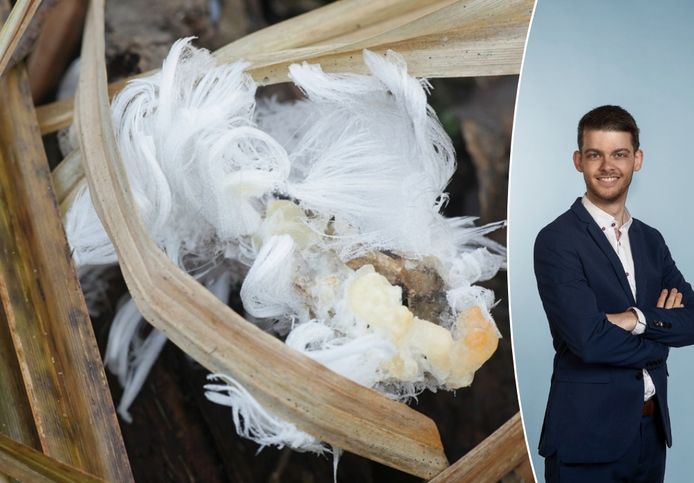 Martijn Peters legt uit wat ijshaar is, het natuurfenomeen dat je nu ‘s ochtends vroeg kunt spotten.