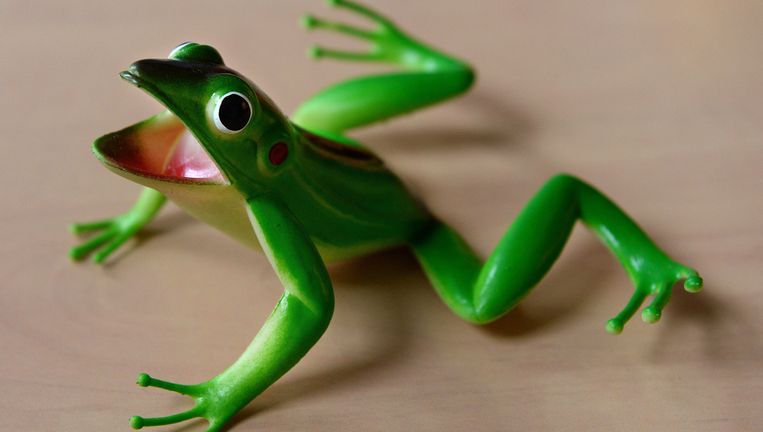 Voor Het Eerst In Zijn Leven Maakt Raoul Oogcontact De Volkskrant