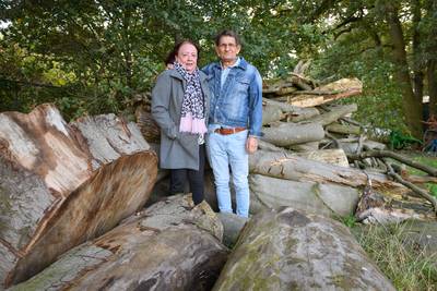 Jan ziet af van proces tegen Berkelland, nadat bomen op zijn huis vielen: ‘Van de overheid win je to